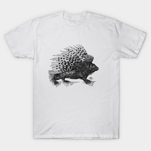 Porcupine strutting along... T-Shirt by angipangi7